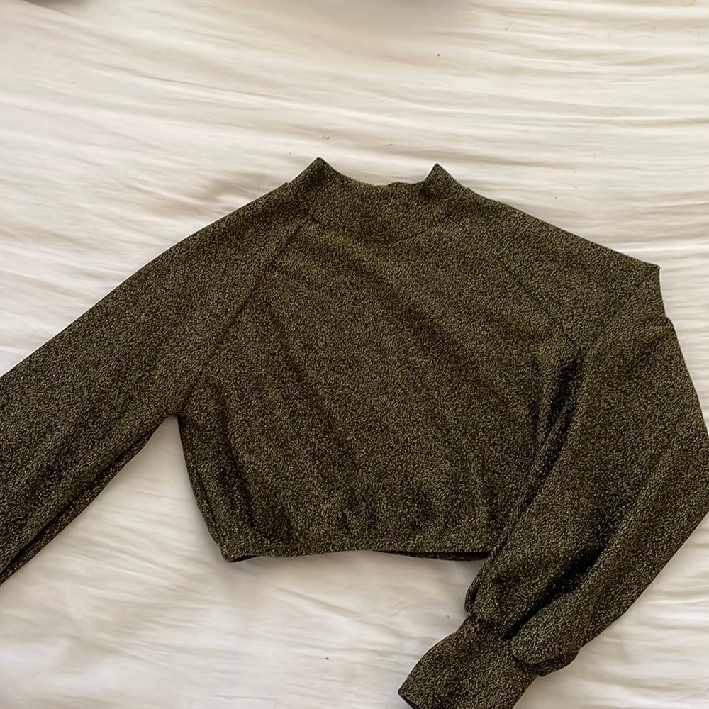 Fashion Nova sparkly cropped long sleeve top